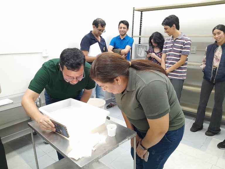 Paraguay fortaleció capacidades para la cría masiva de Aedes aegypti en el marco del Proyecto Wolbachia_Paraguay